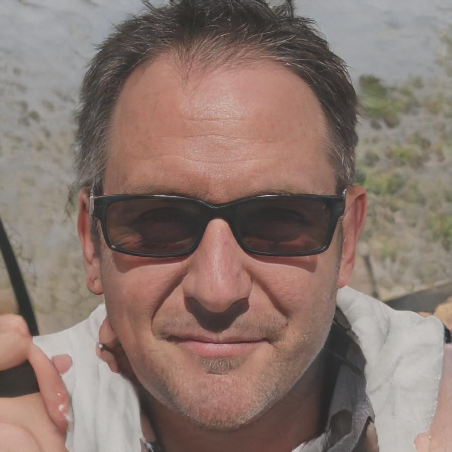 Portrait von Henrik Blomqvist